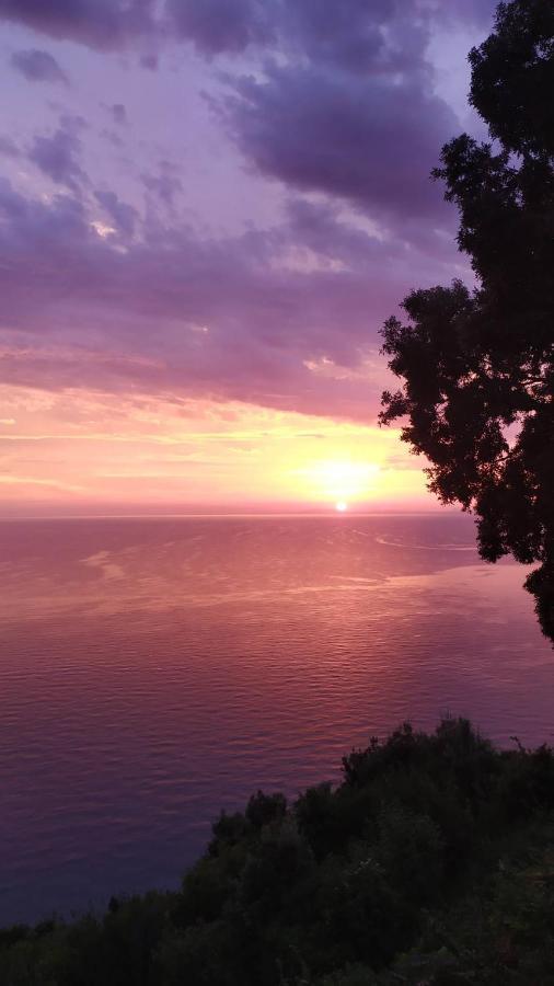 Apartments In Mylopotamos Экстерьер фото